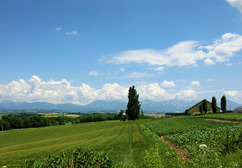 ケンとメリーの丘
